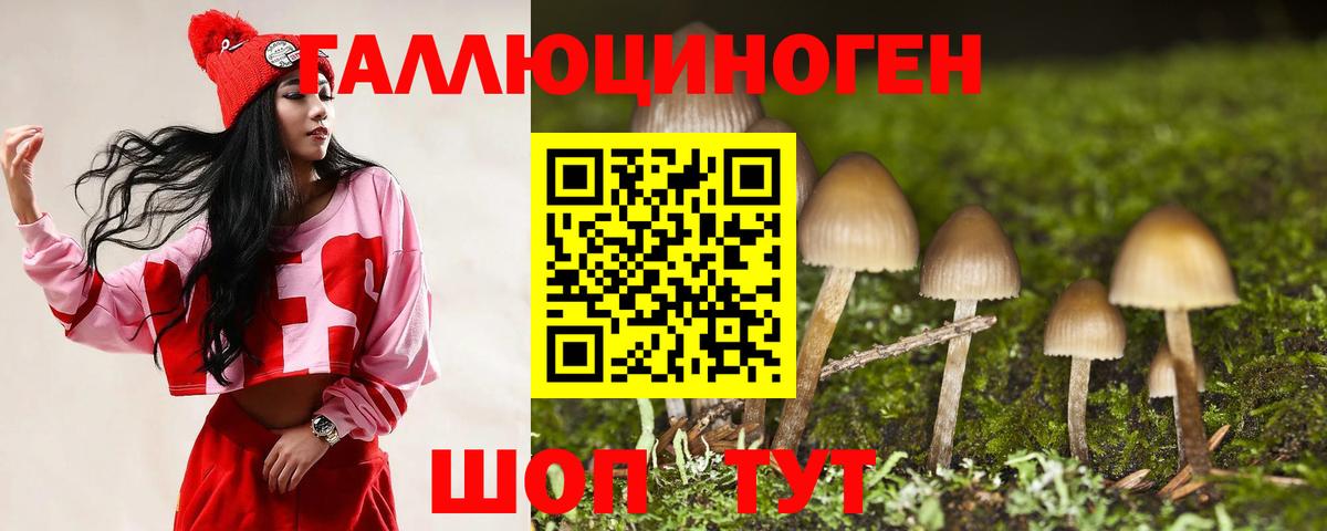 Галлюциногенные грибы Cubensis  Галлюциногенные грибы MAGIC MUSHROOMS  Владимир  хочу   Вход с VPN 