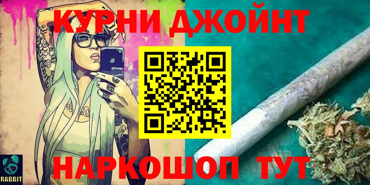 Конопля сатива Владимир